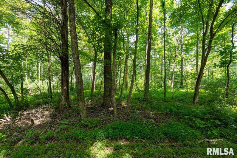 000 Grand Pierre Drive, Golconda, Illinois 62938, 0 , 0 ,0,Land,For Sale,Grand Pierre,0,RMACA1037588