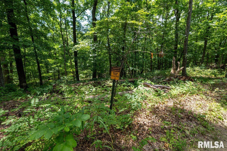 000 Grand Pierre Drive, Golconda, Illinois 62938, 0 , 0 ,0,Land,For Sale,Grand Pierre,0,RMACA1037588