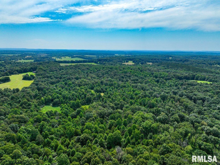 000 Grand Pierre Drive, Golconda, Illinois 62938, 0 , 0 ,0,Land,For Sale,Grand Pierre,0,RMACA1037588