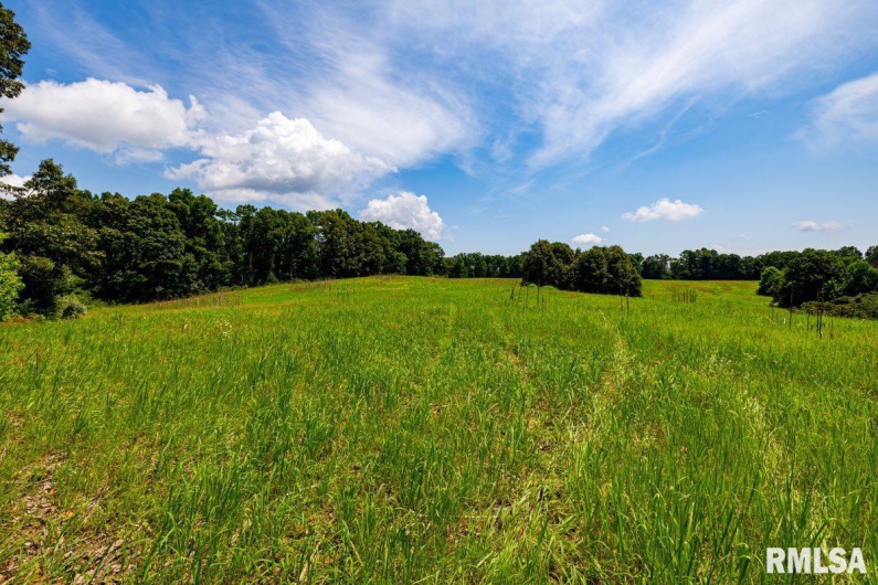 000 Grand Pierre Drive, Golconda, Illinois 62938, 0 , 0 ,0,Land,For Sale,Grand Pierre,0,RMACA1037588