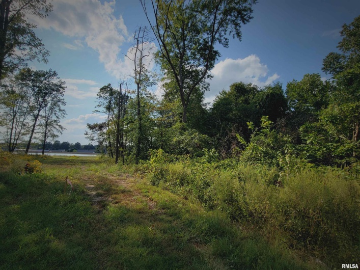 000 13TH Street, Johnston City, Illinois 62951-0000, 0 , 0 ,0,Land,For Sale,13TH,0,RMAEB455045