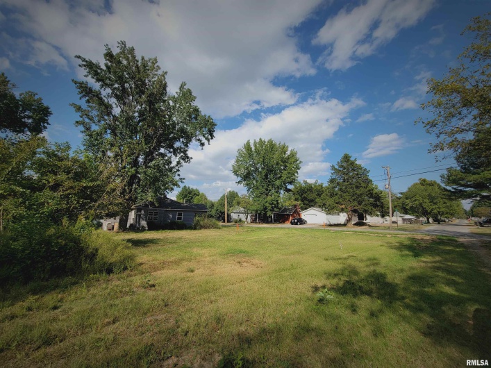 000 13TH Street, Johnston City, Illinois 62951-0000, 0 , 0 ,0,Land,For Sale,13TH,0,RMAEB455045