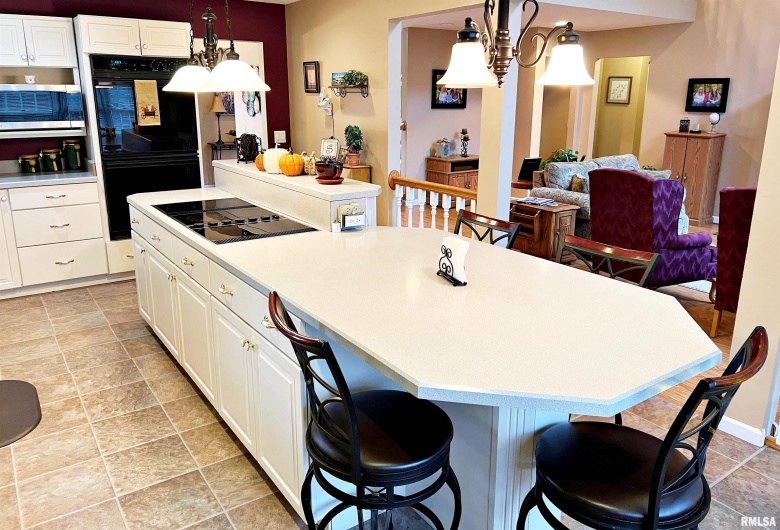 43 LAKEWOOD Drive, Metropolis, Illinois 62960, 5 Bedrooms Bedrooms, 0 ,4 BathroomsBathrooms,Residential,For Sale,LAKEWOOD,0,RMAEB458718