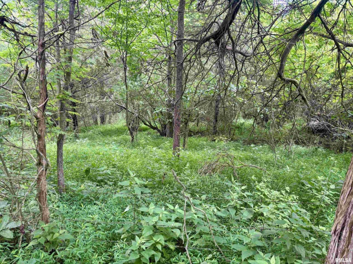 000 Birdwell Church Road, Creal Springs, Illinois 62922, 0 , 0 ,0,Land,For Sale,Birdwell Church,0,RMAEB458763