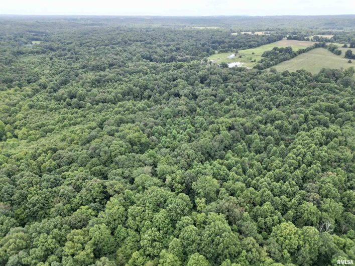 000 Birdwell Church Road, Creal Springs, Illinois 62922, 0 , 0 ,0,Land,For Sale,Birdwell Church,0,RMAEB458763