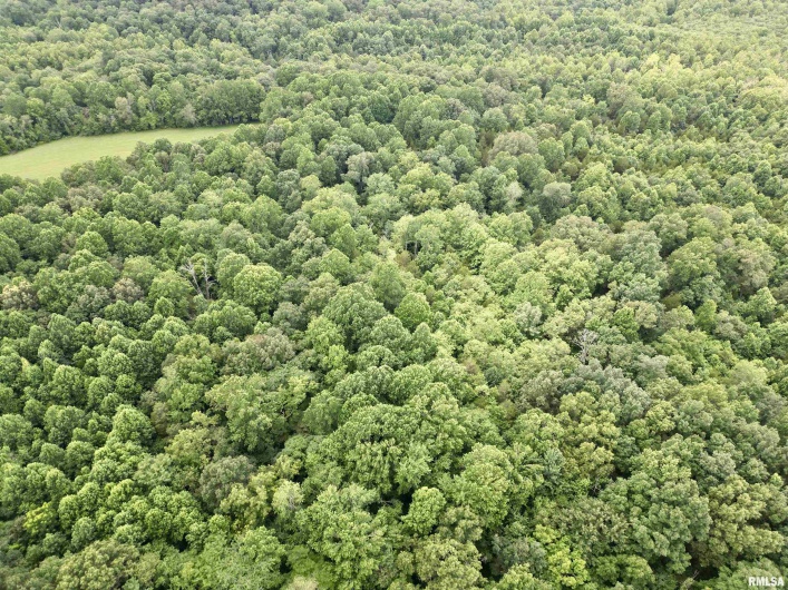 000 Birdwell Church Road, Creal Springs, Illinois 62922, 0 , 0 ,0,Land,For Sale,Birdwell Church,0,RMAEB458763