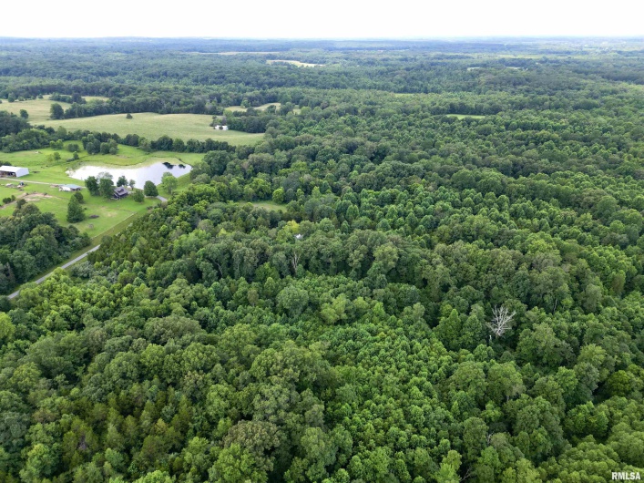 000 Birdwell Church Road, Creal Springs, Illinois 62922, 0 , 0 ,0,Land,For Sale,Birdwell Church,0,RMAEB458763