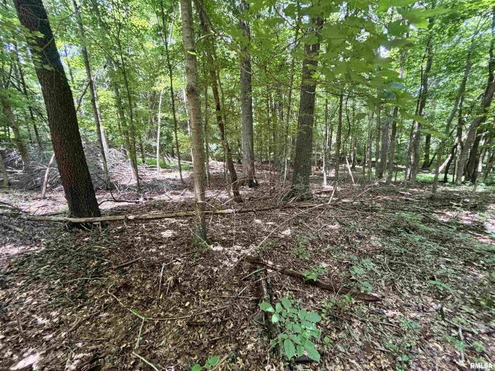 000 Birdwell Church Road, Creal Springs, Illinois 62922, 0 , 0 ,0,Land,For Sale,Birdwell Church,0,RMAEB458763