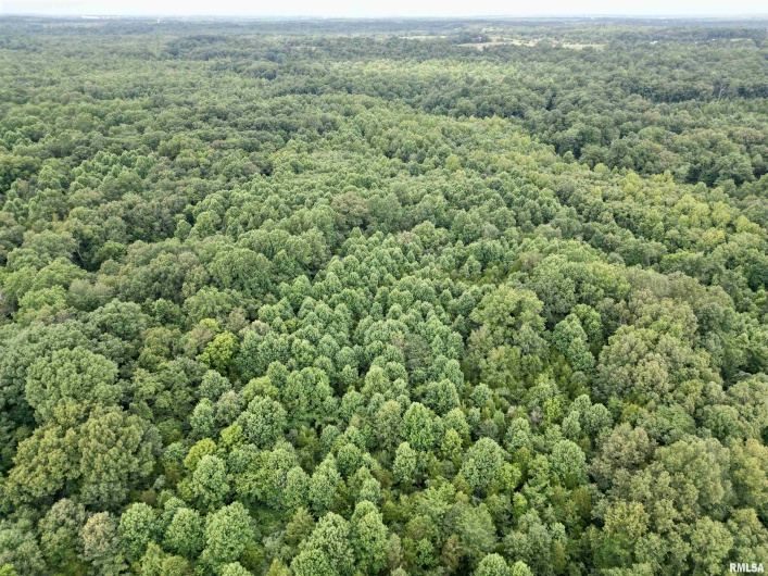 000 Birdwell Church Road, Creal Springs, Illinois 62922, 0 , 0 ,0,Land,For Sale,Birdwell Church,0,RMAEB458763
