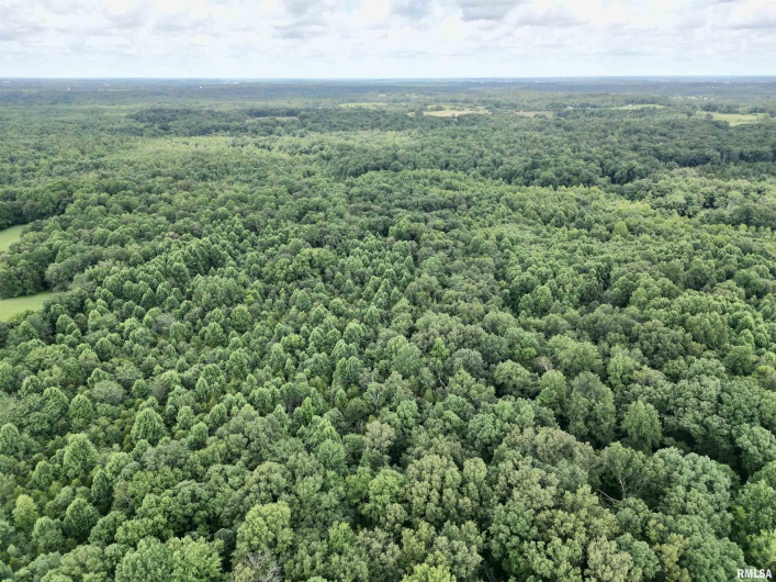 000 Birdwell Church Road, Creal Springs, Illinois 62922, 0 , 0 ,0,Land,For Sale,Birdwell Church,0,RMAEB458763