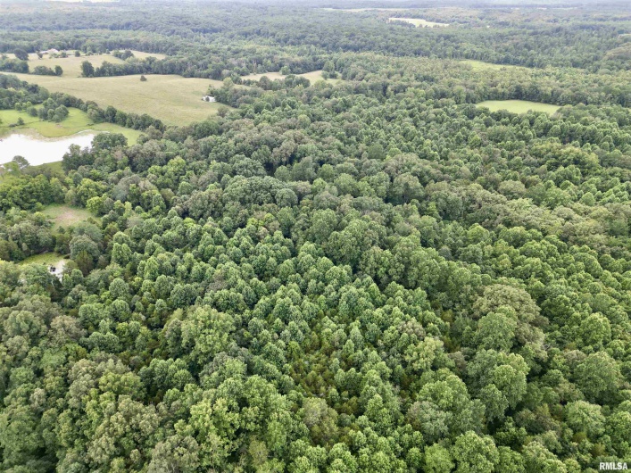 000 Birdwell Church Road, Creal Springs, Illinois 62922, 0 , 0 ,0,Land,For Sale,Birdwell Church,0,RMAEB458763
