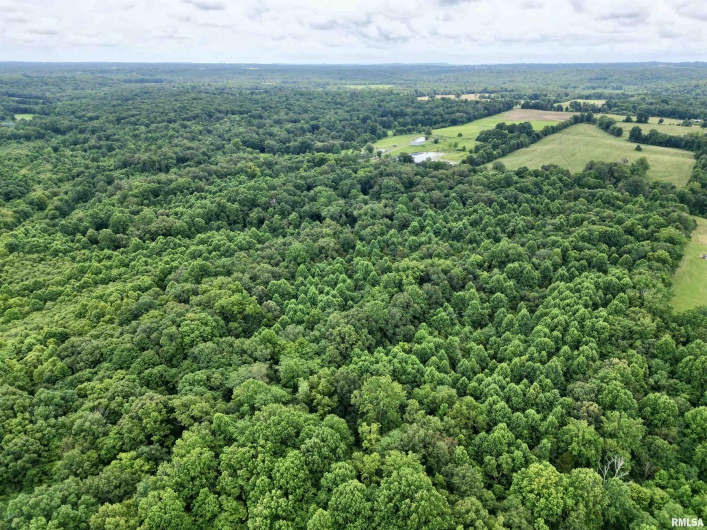 000 Birdwell Church Road, Creal Springs, Illinois 62922, 0 , 0 ,0,Land,For Sale,Birdwell Church,0,RMAEB458763