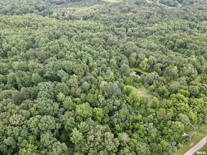 000 Birdwell Church Road, Creal Springs, Illinois 62922, 0 , 0 ,0,Land,For Sale,Birdwell Church,0,RMAEB458763