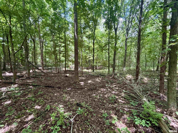 000 Birdwell Church Road, Creal Springs, Illinois 62922, 0 , 0 ,0,Land,For Sale,Birdwell Church,0,RMAEB458763