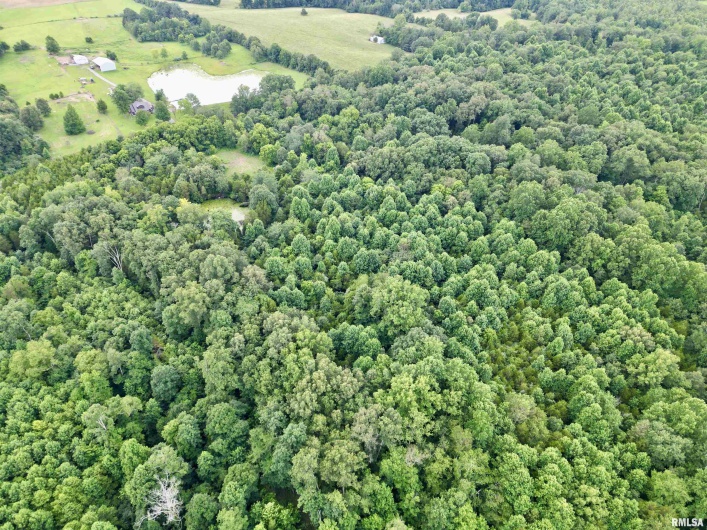 000 Birdwell Church Road, Creal Springs, Illinois 62922, 0 , 0 ,0,Land,For Sale,Birdwell Church,0,RMAEB458763