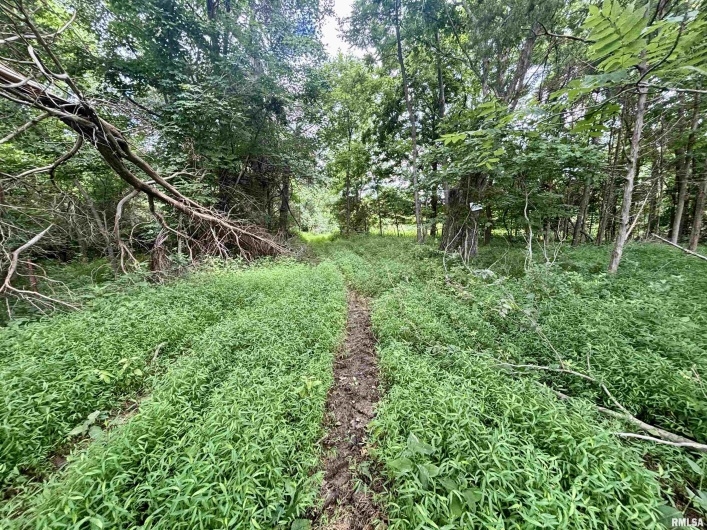 000 Birdwell Church Road, Creal Springs, Illinois 62922, 0 , 0 ,0,Land,For Sale,Birdwell Church,0,RMAEB458763