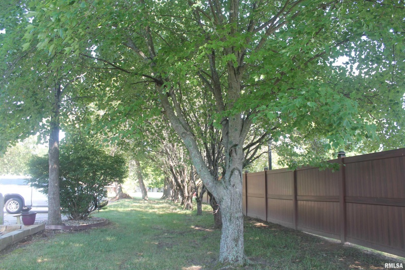 1160 CEDAR Court, Carbondale, Illinois 62901, 0 , 0 ,0,Commercial Sale,For Sale,CEDAR,0,RMAEB458776