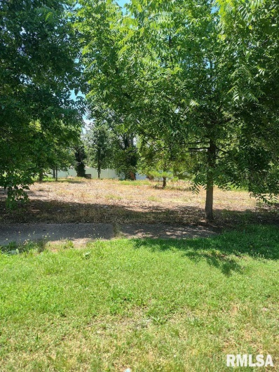 319 HIGH Street, Mound City, Illinois 62963, 4 Bedrooms Bedrooms, 0 ,2 BathroomsBathrooms,Residential,For Sale,HIGH,0,RMAEB458779