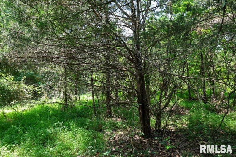 000 Martin Cave Lane, Goreville, Illinois 62939, 0 , 0 ,0,Land,For Sale,Martin Cave,0,RMAEB458802