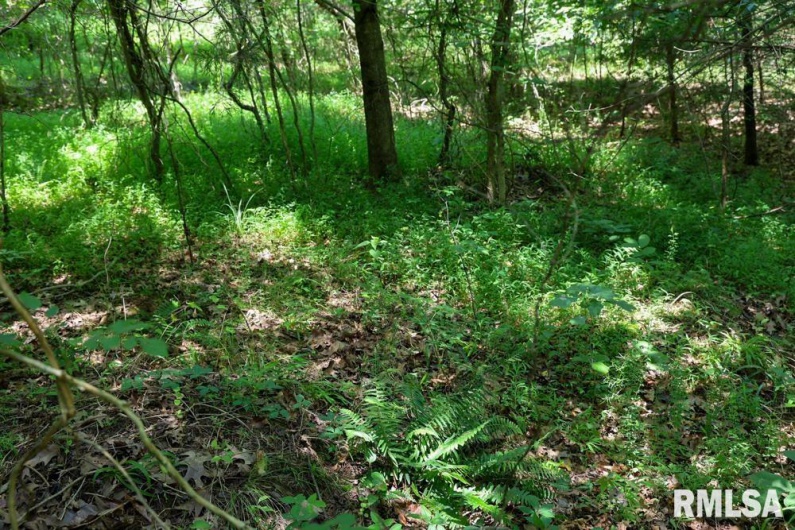 000 Martin Cave Lane, Goreville, Illinois 62939, 0 , 0 ,0,Land,For Sale,Martin Cave,0,RMAEB458802