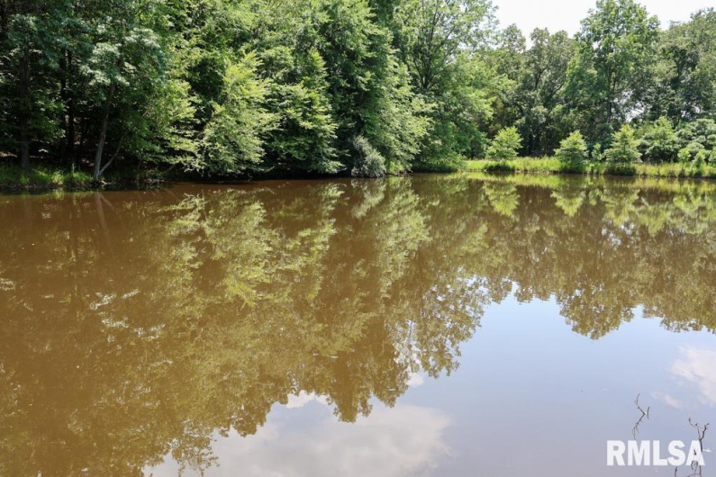 000 Martin Cave Lane, Goreville, Illinois 62939, 0 , 0 ,0,Land,For Sale,Martin Cave,0,RMAEB458802