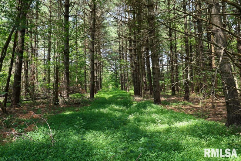 000 Martin Cave Lane, Goreville, Illinois 62939, 0 , 0 ,0,Land,For Sale,Martin Cave,0,RMAEB458802