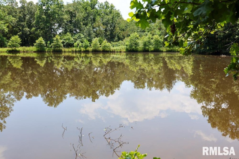 000 Martin Cave Lane, Goreville, Illinois 62939, 0 , 0 ,0,Land,For Sale,Martin Cave,0,RMAEB458802