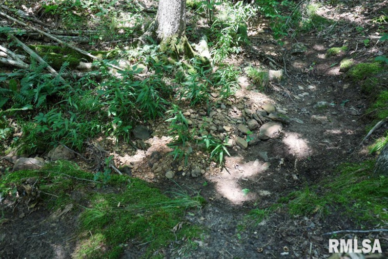 000 Martin Cave Lane, Goreville, Illinois 62939, 0 , 0 ,0,Land,For Sale,Martin Cave,0,RMAEB458802