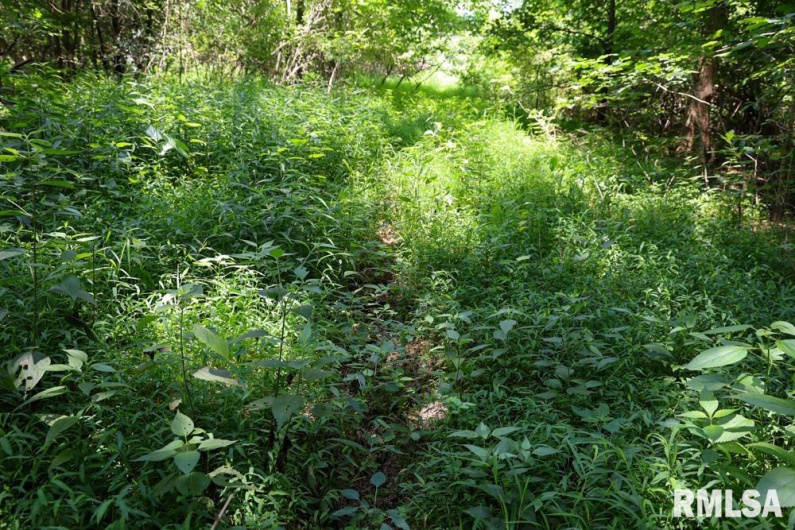 000 Martin Cave Lane, Goreville, Illinois 62939, 0 , 0 ,0,Land,For Sale,Martin Cave,0,RMAEB458802