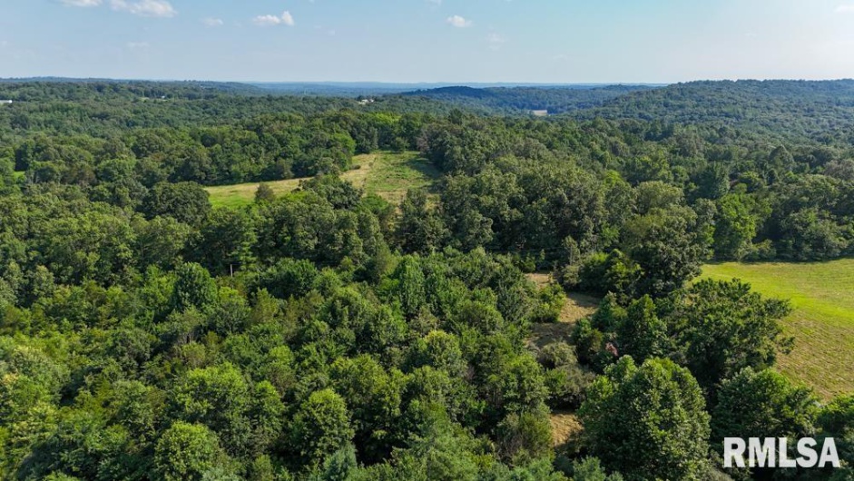 000 Martin Cave Lane, Goreville, Illinois 62939, 0 , 0 ,0,Land,For Sale,Martin Cave,0,RMAEB458802