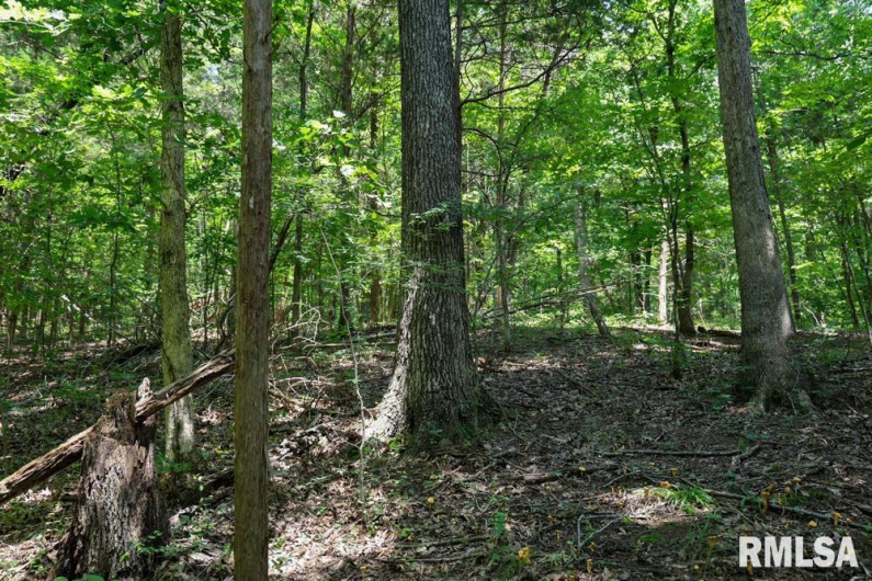 000 Martin Cave Lane, Goreville, Illinois 62939, 0 , 0 ,0,Land,For Sale,Martin Cave,0,RMAEB458802