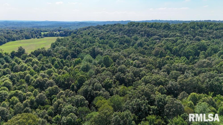 000 Martin Cave Lane, Goreville, Illinois 62939, 0 , 0 ,0,Land,For Sale,Martin Cave,0,RMAEB458802