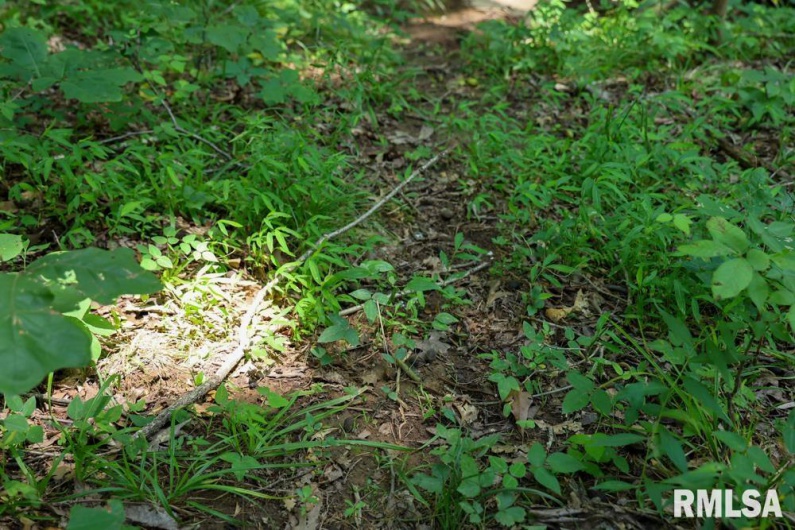 000 Martin Cave Lane, Goreville, Illinois 62939, 0 , 0 ,0,Land,For Sale,Martin Cave,0,RMAEB458802