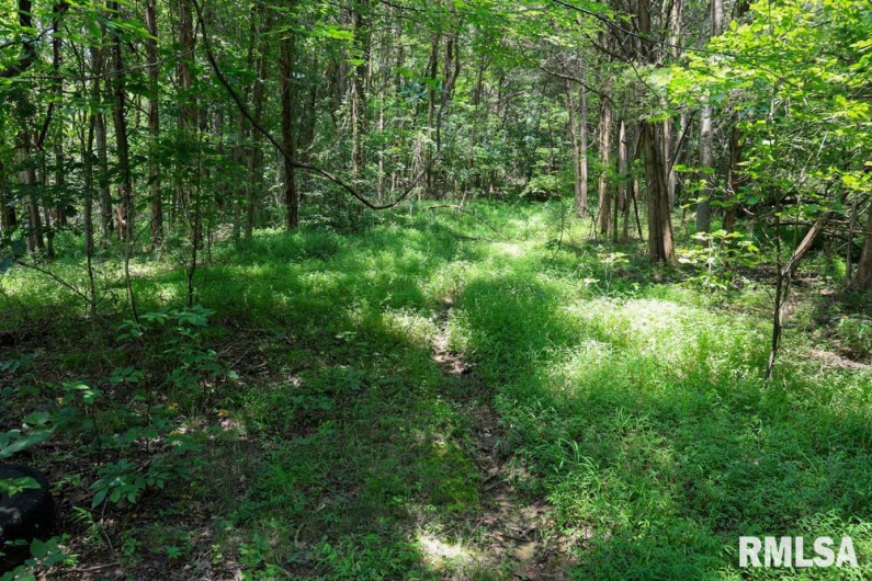 000 Martin Cave Lane, Goreville, Illinois 62939, 0 , 0 ,0,Land,For Sale,Martin Cave,0,RMAEB458802