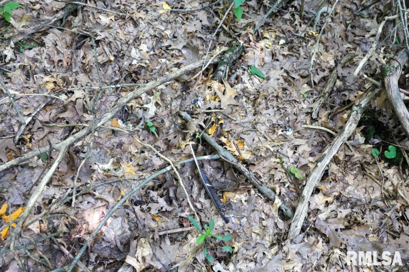000 Martin Cave Lane, Goreville, Illinois 62939, 0 , 0 ,0,Land,For Sale,Martin Cave,0,RMAEB458802