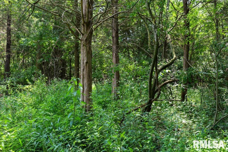 000 Martin Cave Lane, Goreville, Illinois 62939, 0 , 0 ,0,Land,For Sale,Martin Cave,0,RMAEB458802