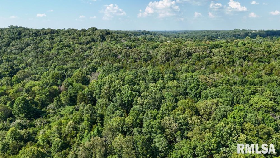000 Martin Cave Lane, Goreville, Illinois 62939, 0 , 0 ,0,Land,For Sale,Martin Cave,0,RMAEB458802