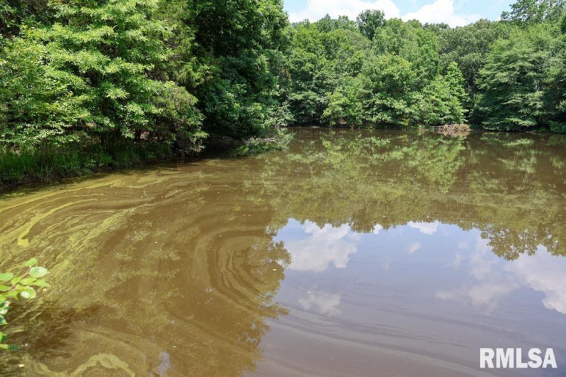000 Martin Cave Lane, Goreville, Illinois 62939, 0 , 0 ,0,Land,For Sale,Martin Cave,0,RMAEB458802