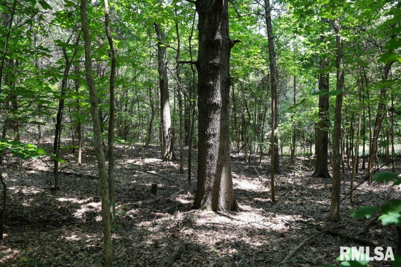 000 Martin Cave Lane, Goreville, Illinois 62939, 0 , 0 ,0,Land,For Sale,Martin Cave,0,RMAEB458802