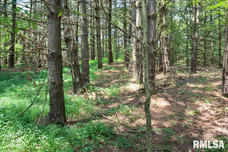 000 Martin Cave Lane, Goreville, Illinois 62939, 0 , 0 ,0,Land,For Sale,Martin Cave,0,RMAEB458802