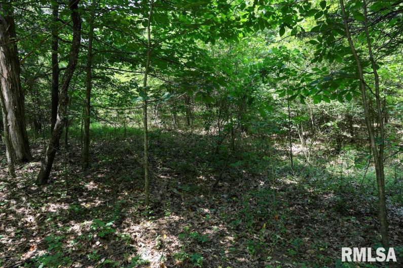 000 Martin Cave Lane, Goreville, Illinois 62939, 0 , 0 ,0,Land,For Sale,Martin Cave,0,RMAEB458802