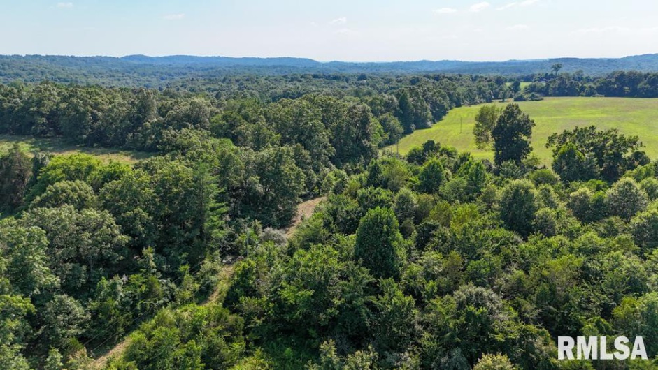000 Martin Cave Lane, Goreville, Illinois 62939, 0 , 0 ,0,Land,For Sale,Martin Cave,0,RMAEB458802