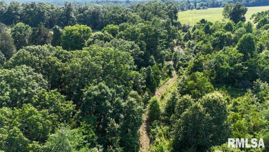 000 Martin Cave Lane, Goreville, Illinois 62939, 0 , 0 ,0,Land,For Sale,Martin Cave,0,RMAEB458802