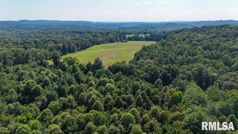 000 Martin Cave Lane, Goreville, Illinois 62939, 0 , 0 ,0,Land,For Sale,Martin Cave,0,RMAEB458802