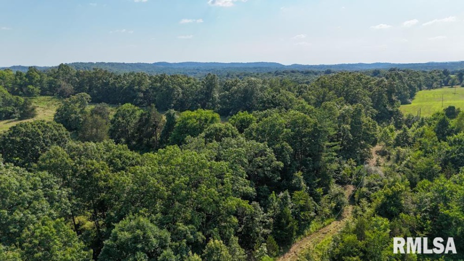 000 Martin Cave Lane, Goreville, Illinois 62939, 0 , 0 ,0,Land,For Sale,Martin Cave,0,RMAEB458802