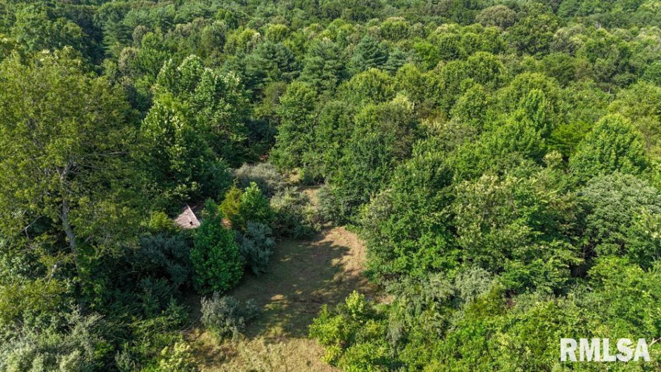 000 Martin Cave Lane, Goreville, Illinois 62939, 0 , 0 ,0,Land,For Sale,Martin Cave,0,RMAEB458802