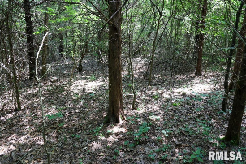 000 Martin Cave Lane, Goreville, Illinois 62939, 0 , 0 ,0,Land,For Sale,Martin Cave,0,RMAEB458802