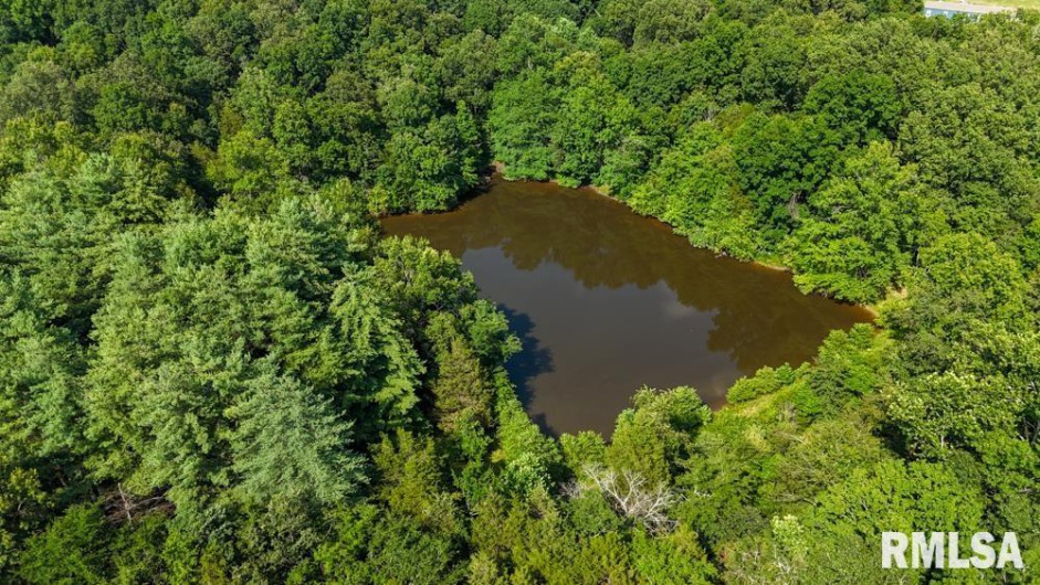 000 Martin Cave Lane, Goreville, Illinois 62939, 0 , 0 ,0,Land,For Sale,Martin Cave,0,RMAEB458802