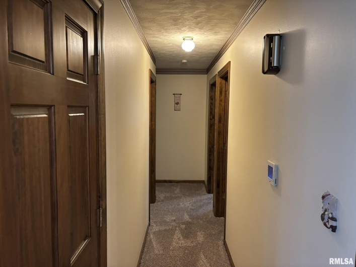 304 Lingale Avenue, Marion, Illinois 62959, 3 Bedrooms Bedrooms, 0 ,3 BathroomsBathrooms,Residential,For Sale,Lingale,0,RMAEB458813