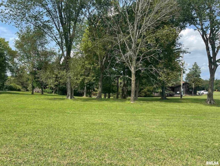 Lots 473- 476 IVY Road, Carbondale, Illinois 62901, 0 , 0 ,0,Land,For Sale,IVY,0,RMAQC4265343